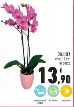 Conad Orchidea offerta