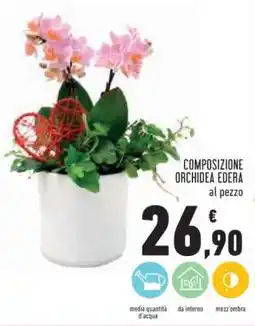 Conad COMPOSIZIONE ORCHIDEA EDERA offerta