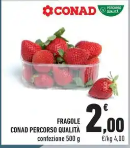Conad Fragole offerta