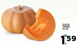 Extra Supermercati Zucca tonda offerta