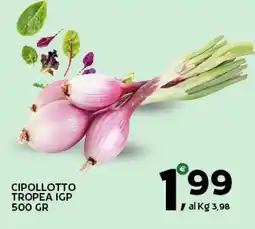Extra Supermercati Cipollotto tropea igp offerta