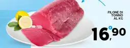 Extra Supermercati Filone di tonno offerta