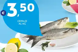 Extra Supermercati Cefalo offerta