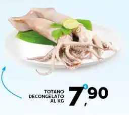 Extra Supermercati Totano decongelato offerta