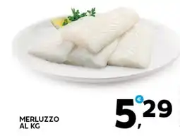 Extra Supermercati Merluzzo offerta