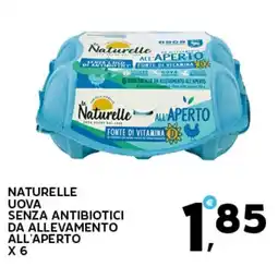 Extra Supermercati Naturelle uova senza antibiotici da allevamento all'aperto offerta