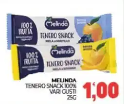 Eté Melinda tenero snack 100% vari gusti offerta