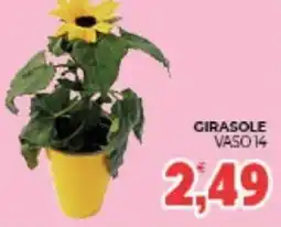 Eté Girasole offerta