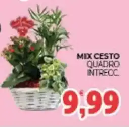 Eté Mix cesto quadro intrecc offerta