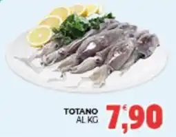 Eté Totano offerta