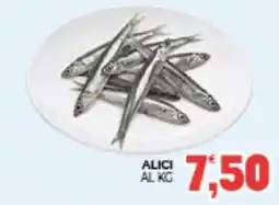 Eté Alici offerta