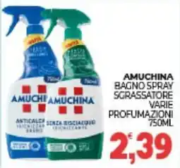 Eté Amuchina bagno spray sgrassatore varie profumazioni offerta