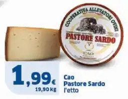 Cao pastore sardo