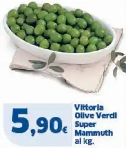 Sigma Vittoria olive verdi super mammuth offerta