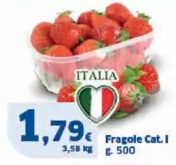 Sigma Fragole cat. i offerta