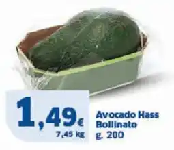 Sigma Avocado hass bollinato offerta