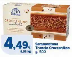 Sigma Sammontana trancio croccantino offerta