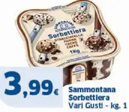 Sigma Sammontana sorbettlera Vari Gusti - offerta