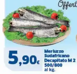 Sigma Merluzzo sudafricano decapitato m 2 offerta