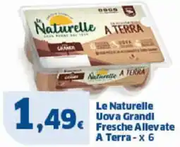 Sigma Le naturelle uova grandi fresche allevate a terra - x 6 offerta