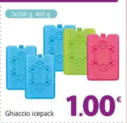 Famila Ghiaccio icepack offerta