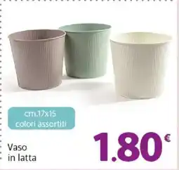 Famila Vaso in latta offerta