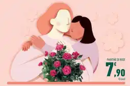 Conad PIANTINE DI ROSE offerta