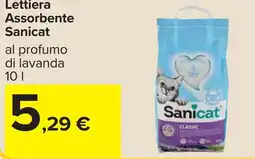 Carrefour Lettiera Assorbente Sanicat offerta