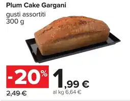 Carrefour Plum Cake Gargani offerta