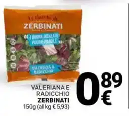 Supermercati Gulliver Valeriana e radicchio ZERBINATI offerta