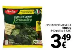 Supermercati Gulliver Spinaci primavera FINDUS offerta