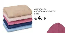 Esselunga Asciugamano Ospite offerta