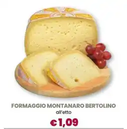 Famila FORMAGGIO MONTANARO BERTOLINO offerta