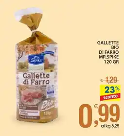 Qui Discount Gallette bio di farro MR.SPIKE offerta