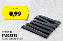 ALDI Workzone fascette offerta