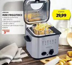 ALDI Ambiano mini friggitrice offerta