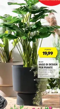 ALDI Belavi vaso di design per piante offerta
