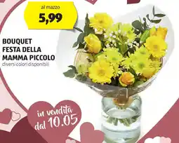 ALDI Bouquet festa della mamma piccolo offerta