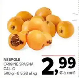 Todis Nespole Origine Spagna Cal g. offerta