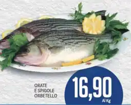 Supermercati Piccolo Orate e spigole orbetello offerta