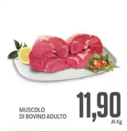 Supermercati Piccolo Muscolo di bovino adulto offerta