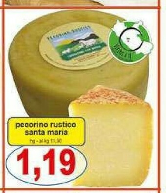 Pewex Pecorino offerta