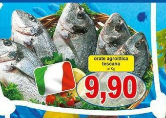 Pewex Orata offerta