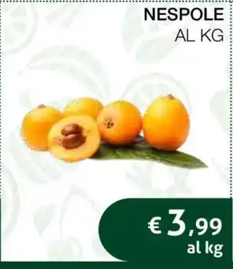 Coop NESPOLE offerta
