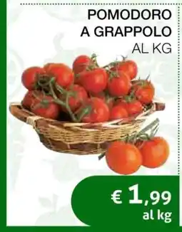 Coop POMODORO A GRAPPOLO offerta