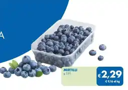 MD Discount Mirtilli offerta
