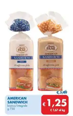 MD Discount AMERICAN SANDWICH offerta