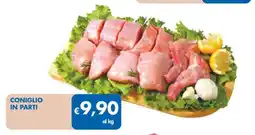 MD Discount CONIGLIO IN PARTI offerta