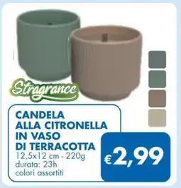 MD Discount CANDELA ALLA CITRONELLA IN VASO DI TERRACOTTA offerta