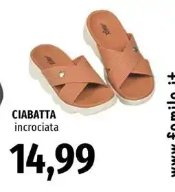 Famila CIABATTA offerta